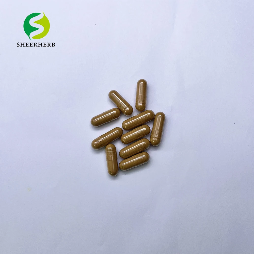 Astragalus Root Extract Powder Astragaloside IV High quality/High cost performance Astragalus