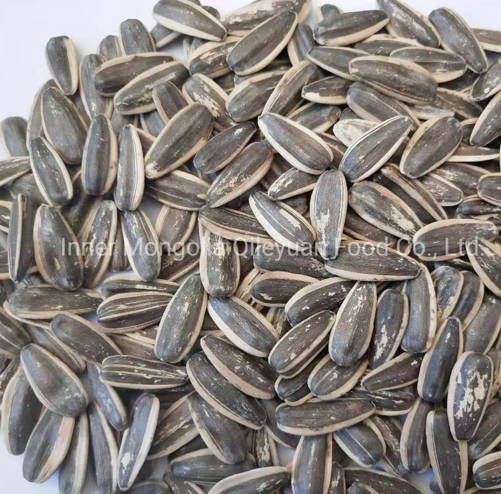 Wuyuan County Food Roasted Salty Sunflower Seeds for Snack