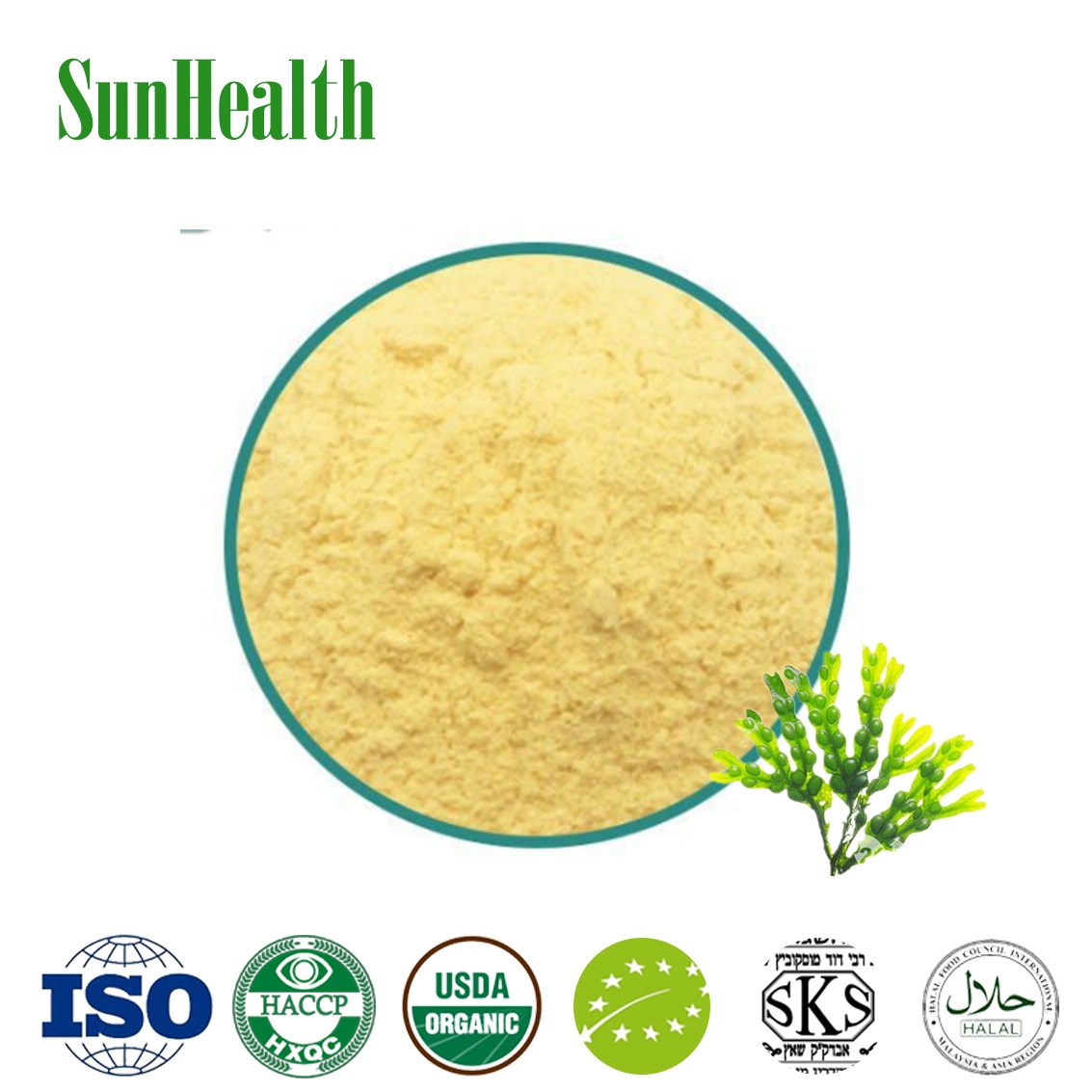 High quality/High cost performance  Fucoxanthinol CAS 3351-86-8 Fucus Vesiculosus Herb Extract