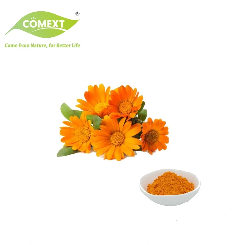 Fábrica de Comext suministro directo Calendula Officinalis 5%-80% Extracto de Flor de Marigold