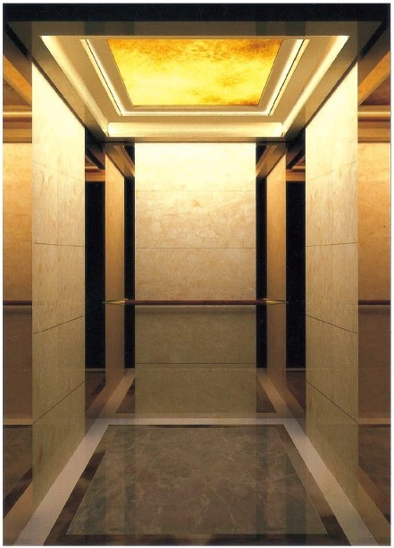 Residential Passenger Elevator for Commercial Building with Good Quality