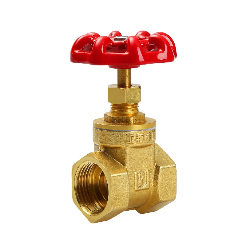 Sw/NPT Connection Wcb Globe Valve, by GOST/ANSI/DIN for Water/Gas/Oil