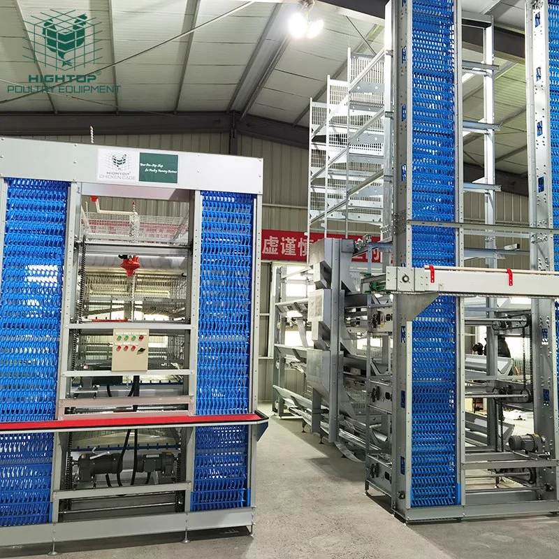 Fully Automatic Layer Poultry Equipment Battery Cage System