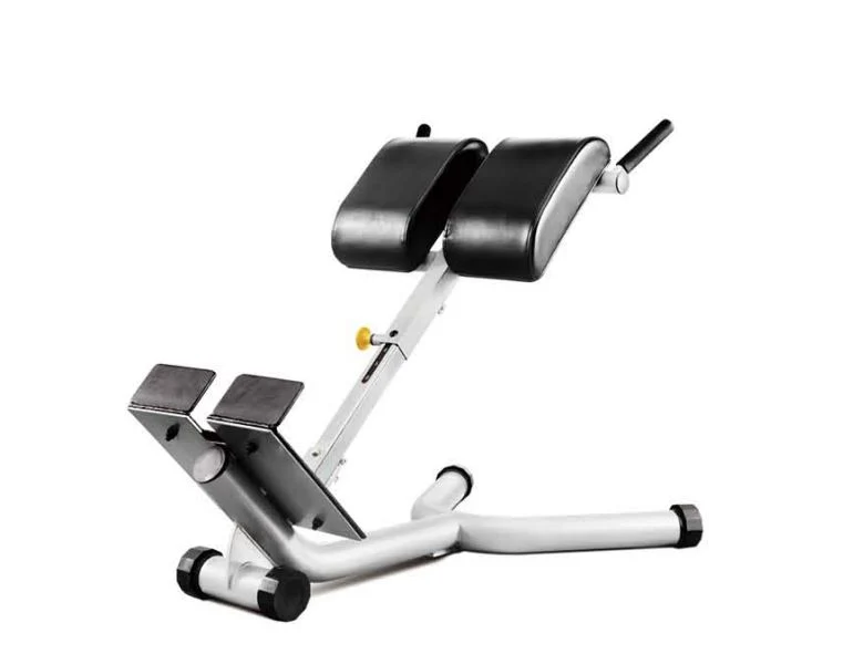 Gym Club Professional Back Extension Gym Machine for Commercial Use