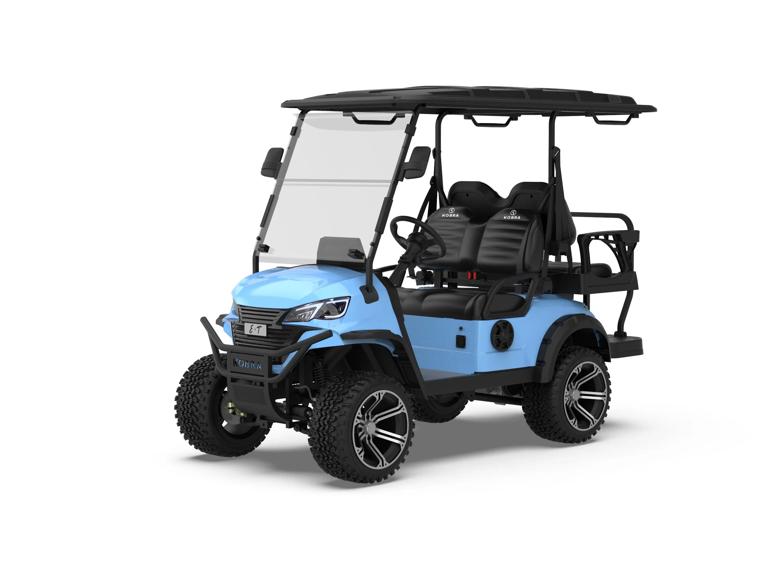 Royal 48V Back to Back Seat Battery Powered Electric Golf Carro