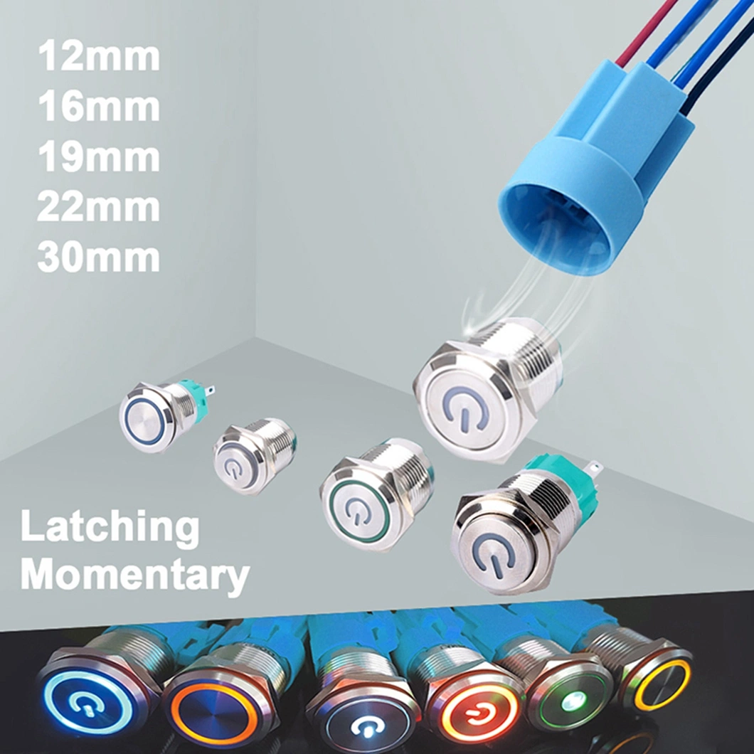 High Repurchase 28mm Red Blue Illuminated 12V 24V Momentary LED Push Button Switch