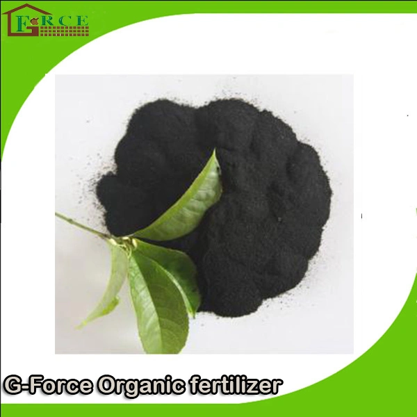 Organic Fertilizers for Rice Fertilizers Are Rich in High N Content Nitro Humic Acids