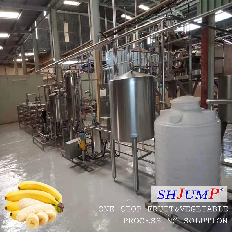 Mango Pulp Puree Tube in Tube Sterilizer