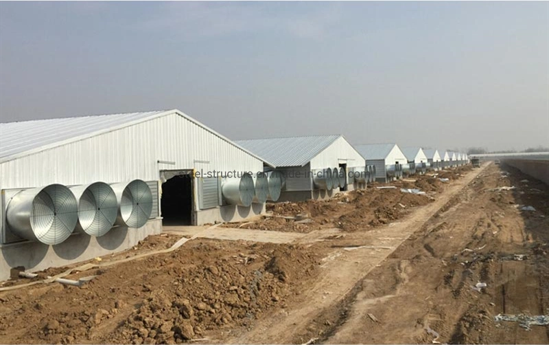 La estructura de acero galvanizado de la casa de aves de corral con equipos