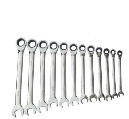 Professional Spanner Ratchet Combination Wrench (#21220)