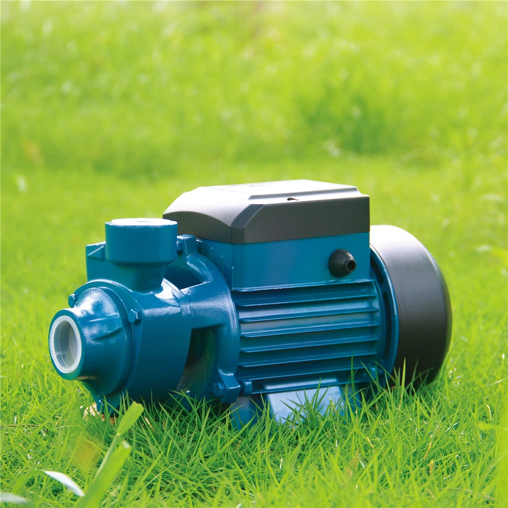 Pompe à eau de surface automatique en laiton avec turbine en fonte de cuivre, à vortex périphérique, micro, pour jardin, pour l'irrigation agricole (QB60)