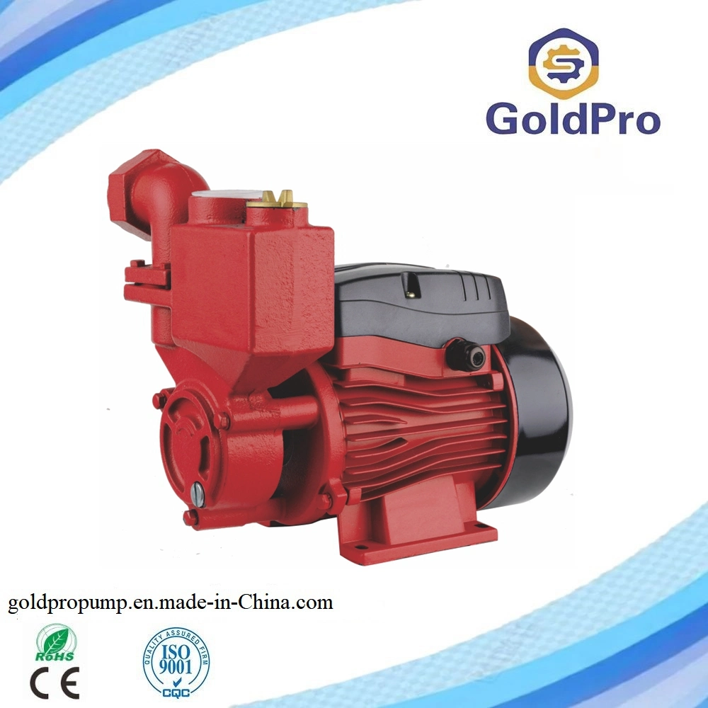 PS130 Water Pump with Pressure Tank