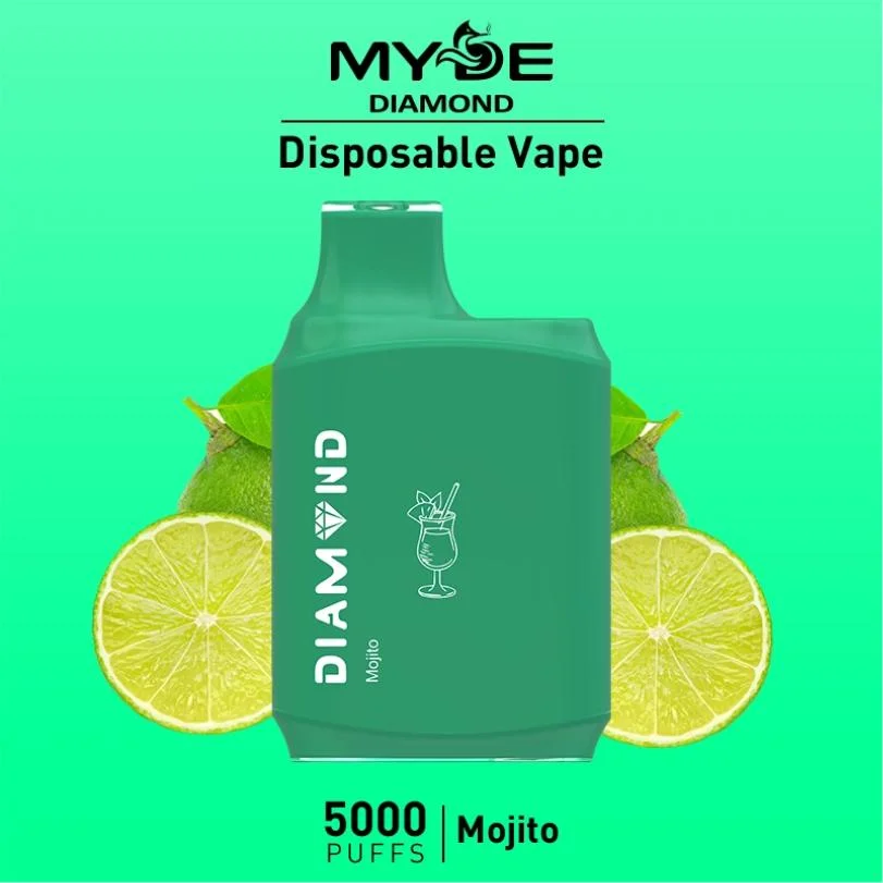 تصميم جديد 5000 مأطح إلكترونية يمكن التخلص منها للمدخنين Vape OEM vape نسيج شبكي