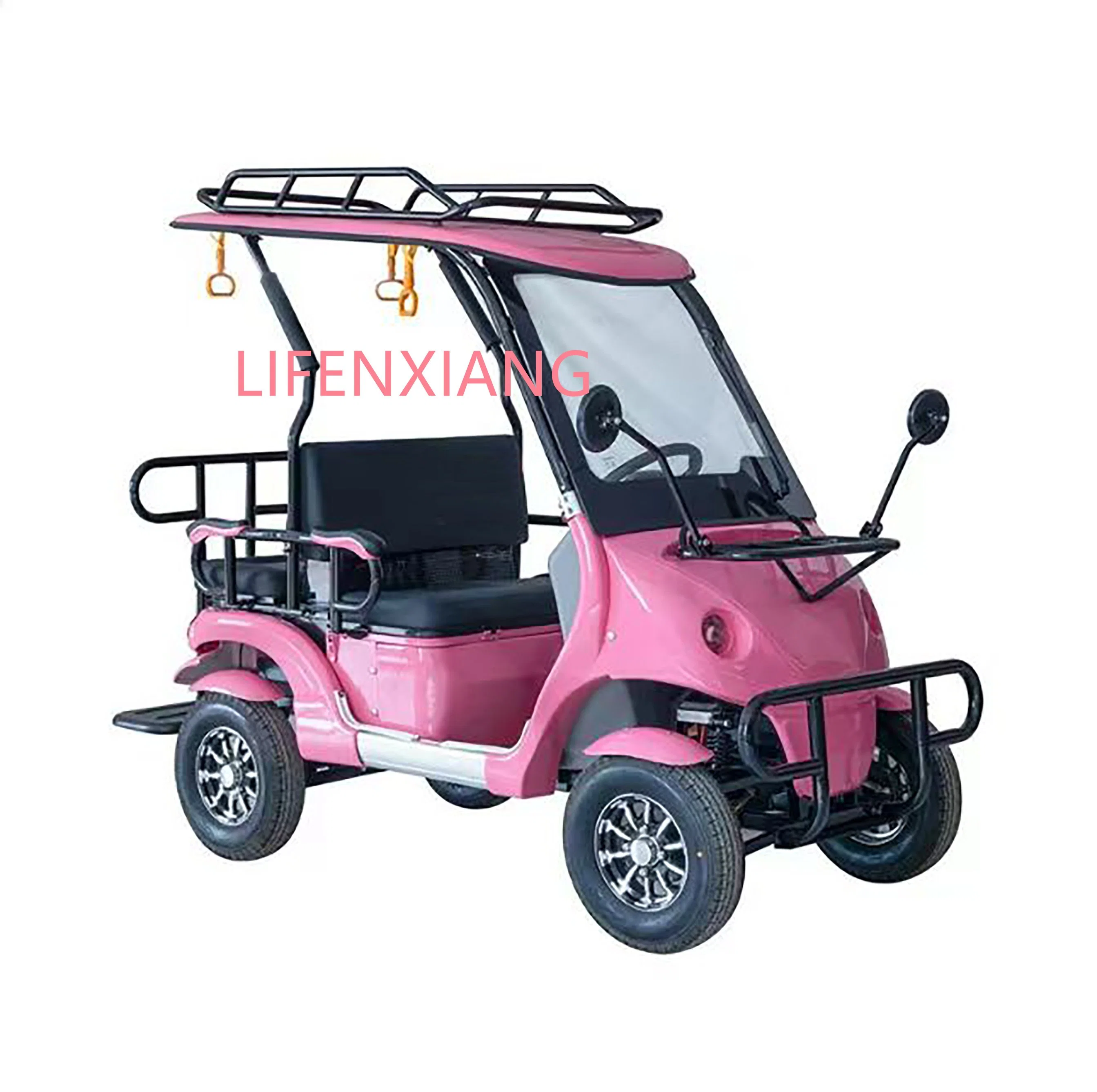 New Design Factory Wholesale Price Adult Battery Operated Electric Sightseeing Car and Mobility Scooter with 60V800W Motor