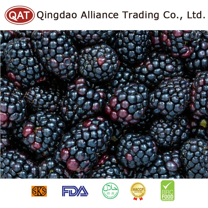 Certificação Brc Novo sazonal IQF IQF Blackberry frutos congelados originários da China