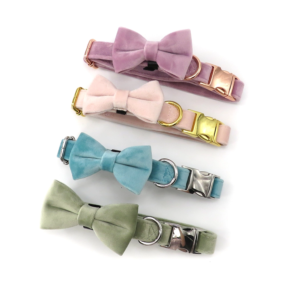 Luxus-Accessoires für Haustiere Samt Verstellbare Metallschnalle Hundehalsband Mit abnehmbarer Bowtie