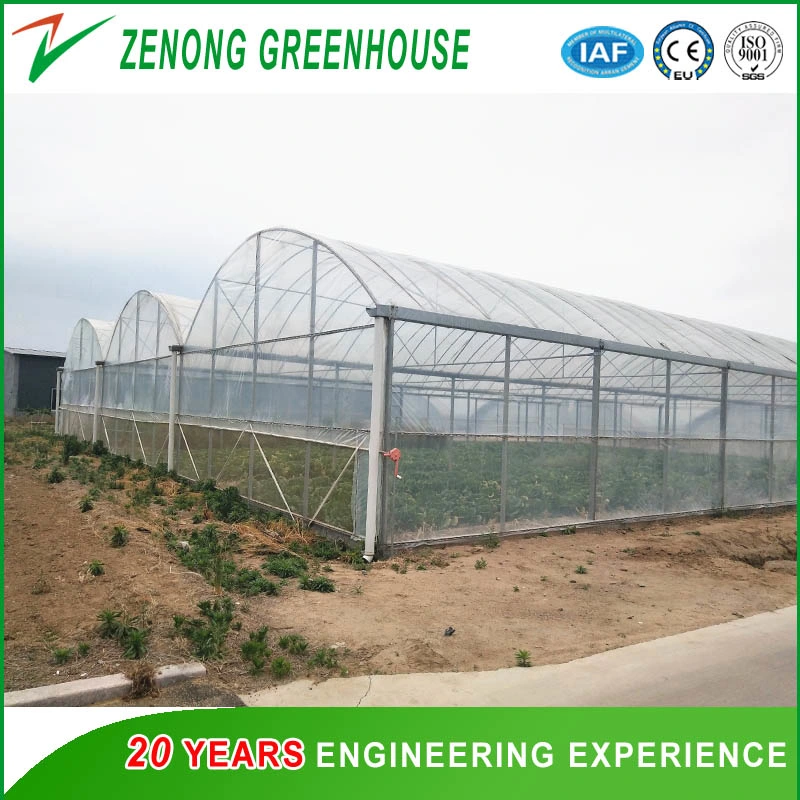 Commercial Greenhouse Film Greenhouse with Automatic System for Planting Tomota, Cucumber, Lettuce