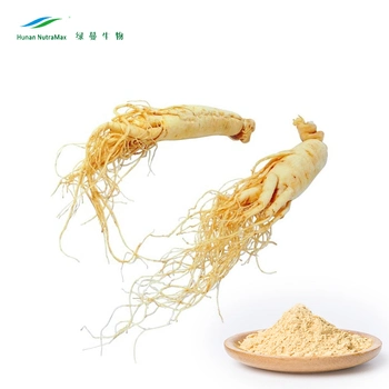 China Panax Ginseng Extracto de la hoja de la cola de polvo 3-80% Ginsenosides (Unión Europea, la USP, la FDA estándar)