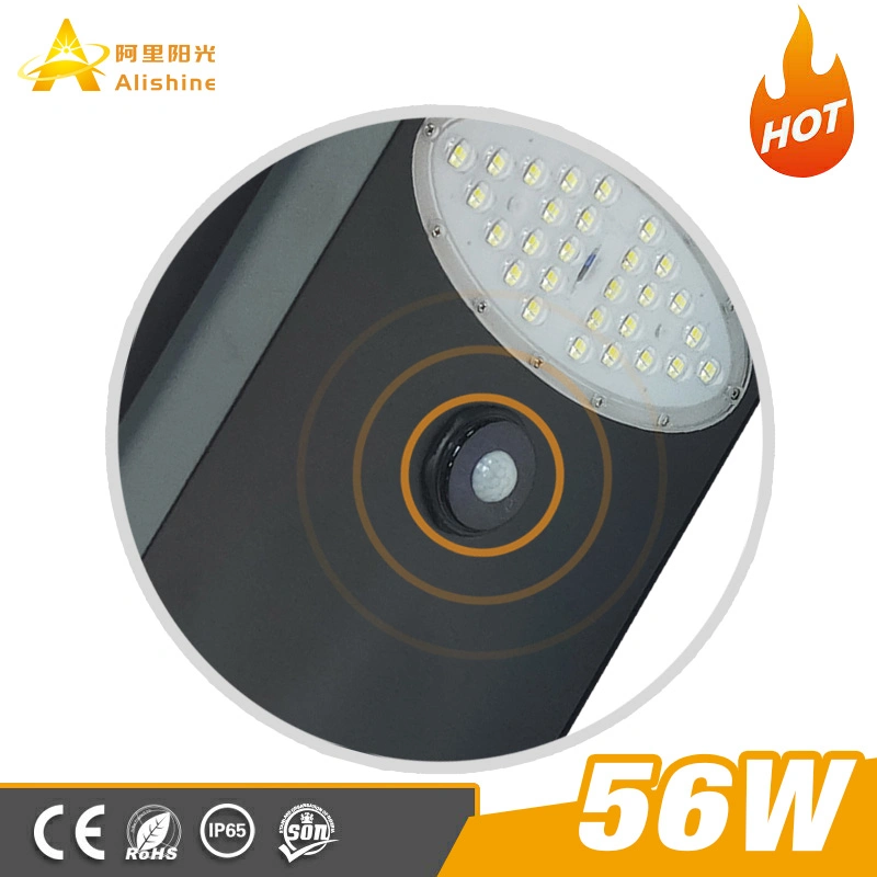 Newest Private Module IP65 Outdoor 56W LED Solar Street Light