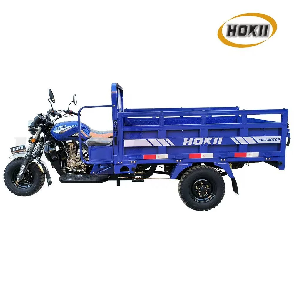 250cc Gasoline Tricycle Cargo Heavy Load 2023 New Model Petrol Engine Thick Spring Leaf for Sale