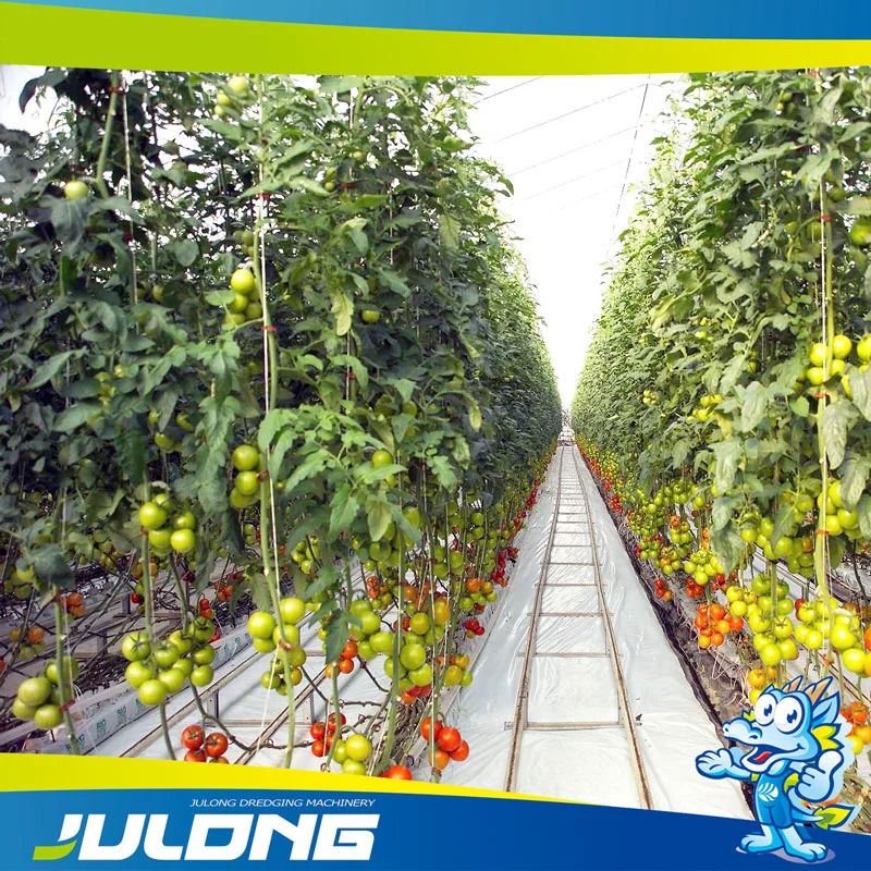 Agrícolas de alta calidad Multi-Span película de plástico con sistema de cultivo hidropónico de tomate