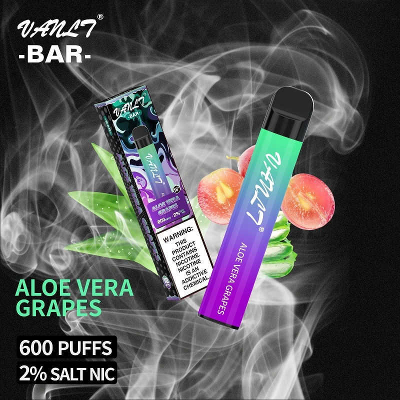 Nouveau produit Vape jetable Logo personnalisé Vanlt Bar original 600 bouffées Aloe Vera raisins Cigarette électronique