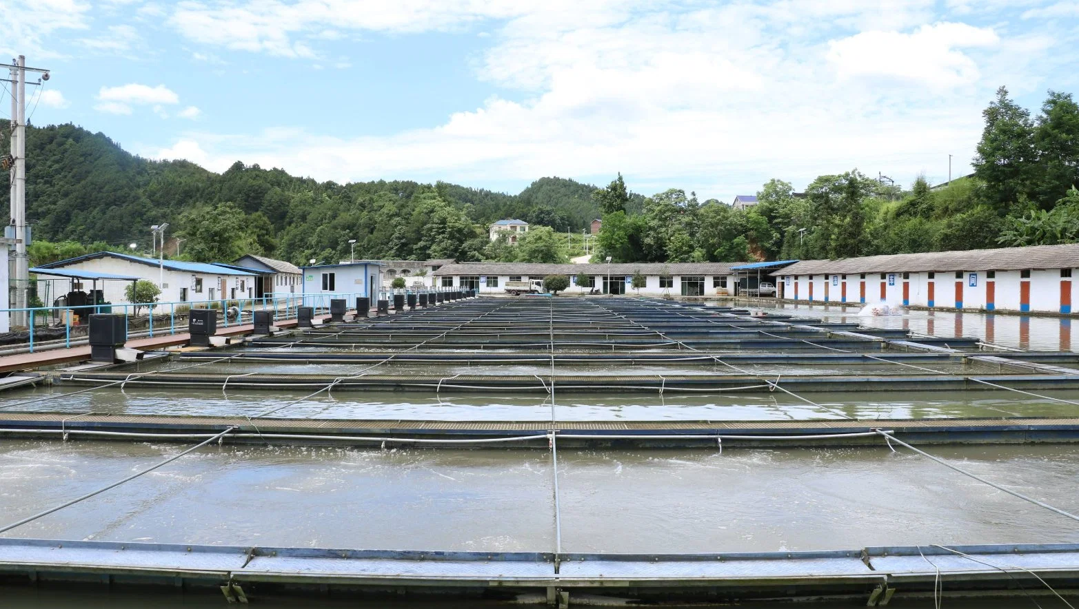 Geflügelzucht Kläranlage Schlachthaus Kläranlage