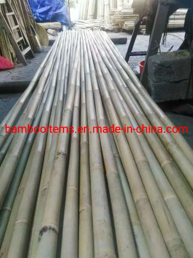 Natural Tonkin Bamboo Poles Bamboo Canes for Plant Garden Support