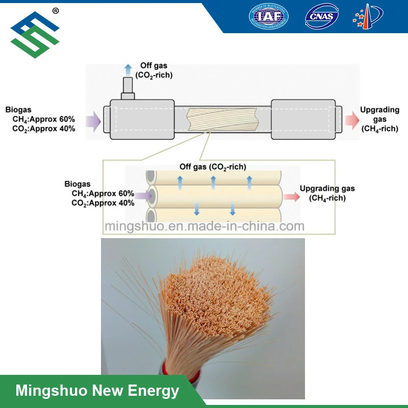 Biogas Upgrading Technologies for Narural Gas