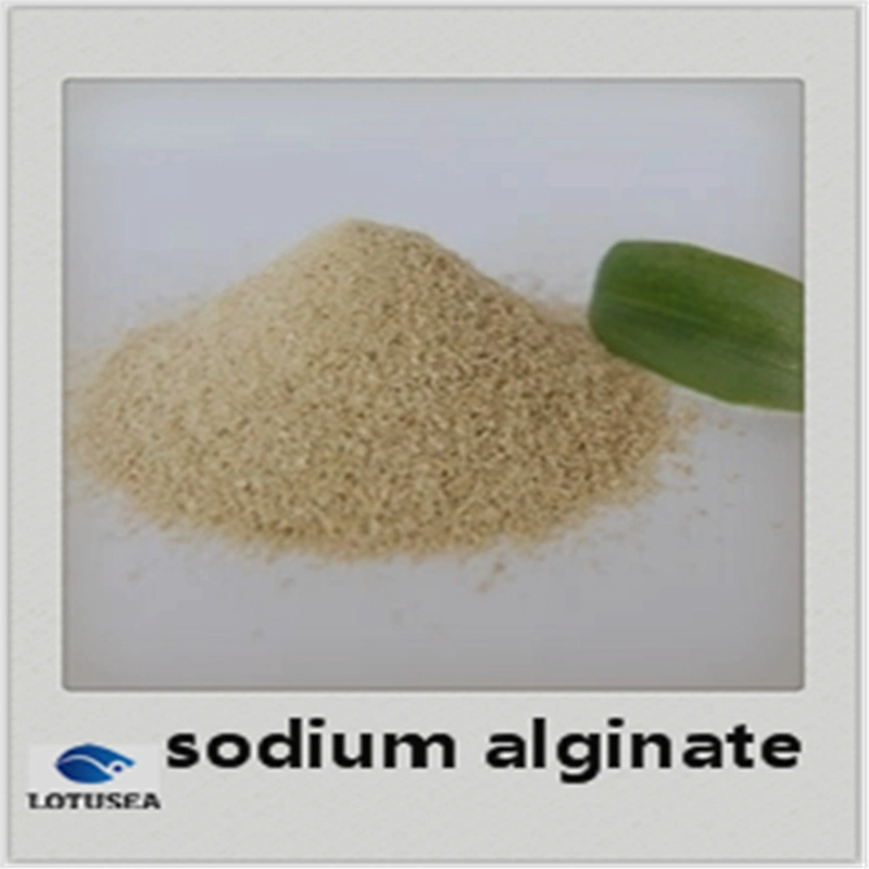 Textile Grade Sodium Alginate 150mesh 2500cps High quality/High cost performance 