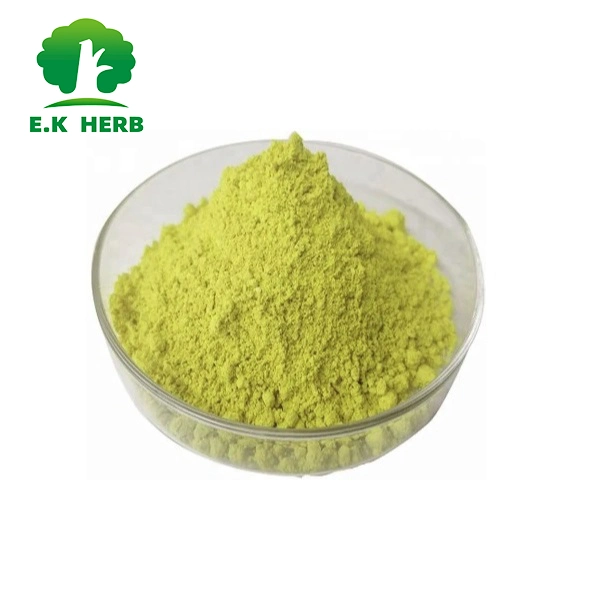E. K Herb Factory Pure Natural Sophora Japonica Extract 98% Luteolin Sophora Japonica Extract Quercetin 95% CAS 117-39-5