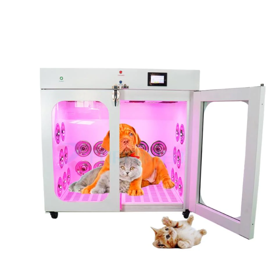 Veterinario Salon Acero inoxidable 304 mascotas Grooming Animal secador de soplado Caja