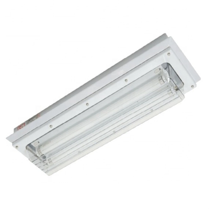 IP67 Certified Metal Body 0.5mm PC Diffuser Stainless Batten Light Fixture