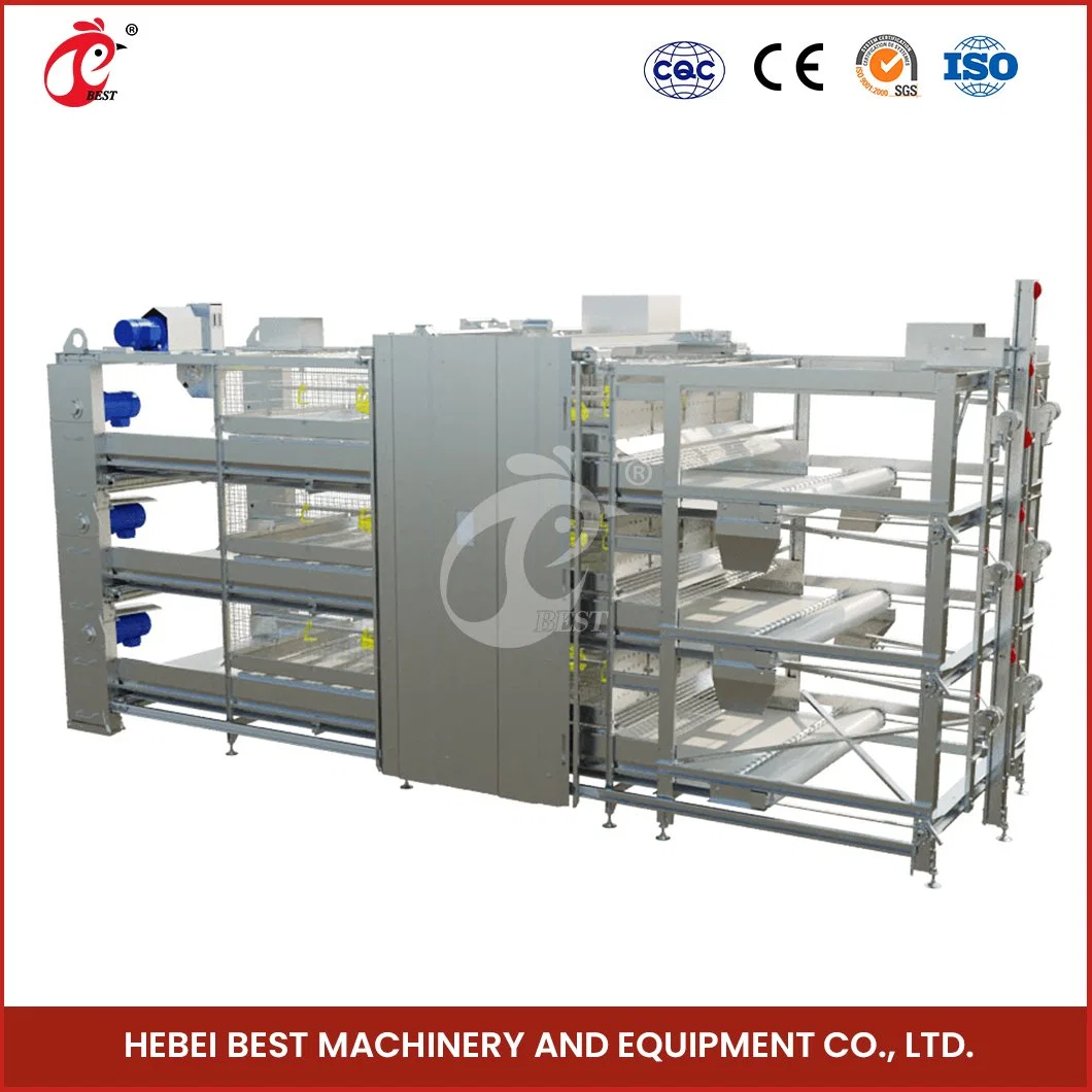 Bestchickencage H Frame Broiler Cages China Steel Structure Chicken House Suppliers Applicable Poultry Field Broiler Cages for Sale