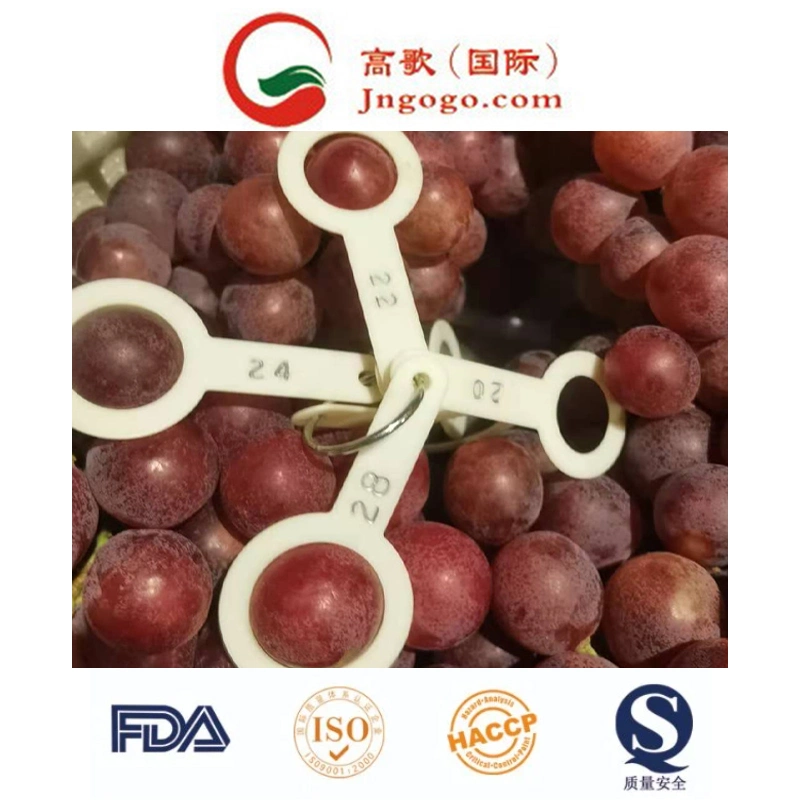 China Sweet Fresh Red Grape Crimson Grape Red Globe Manufacture