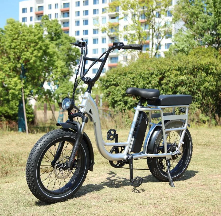 China fábrica OEM ODM 20 pulgadas de 48V 15Ah 3.3" eléctrico neumático Fat City Bike