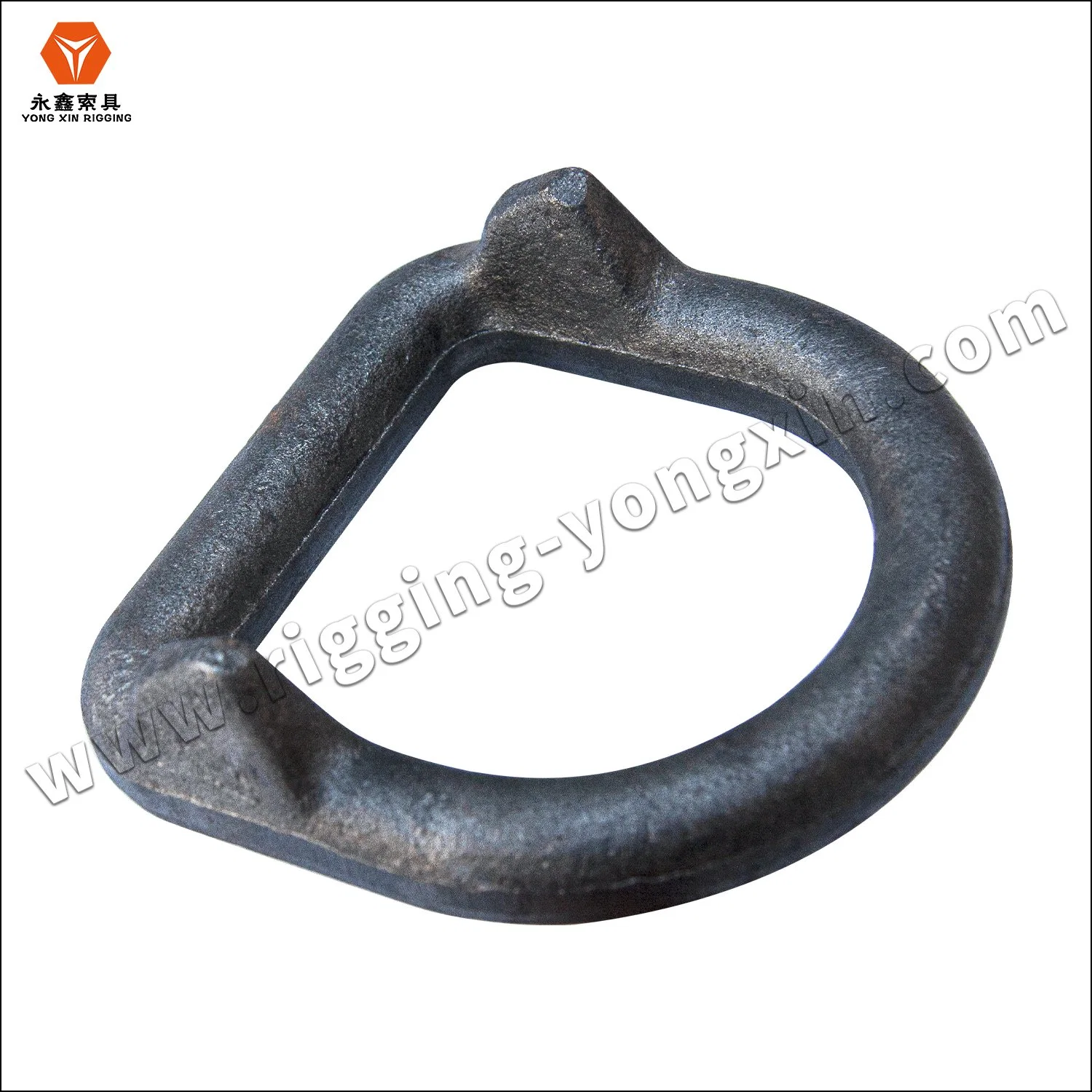 Factory Price High Quality Lashing D Ring with Supporting Point|Customized Lashing D Ring