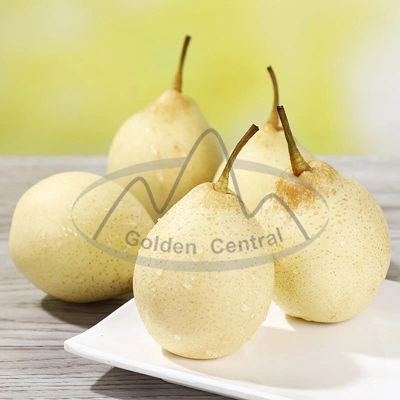 أفضل الأسعار بيع Ya Pear الصيني الطازج على العالم