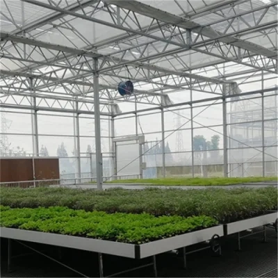 New Agricultural Greenhouse Intelligent Hydroponics System Vertical Farm