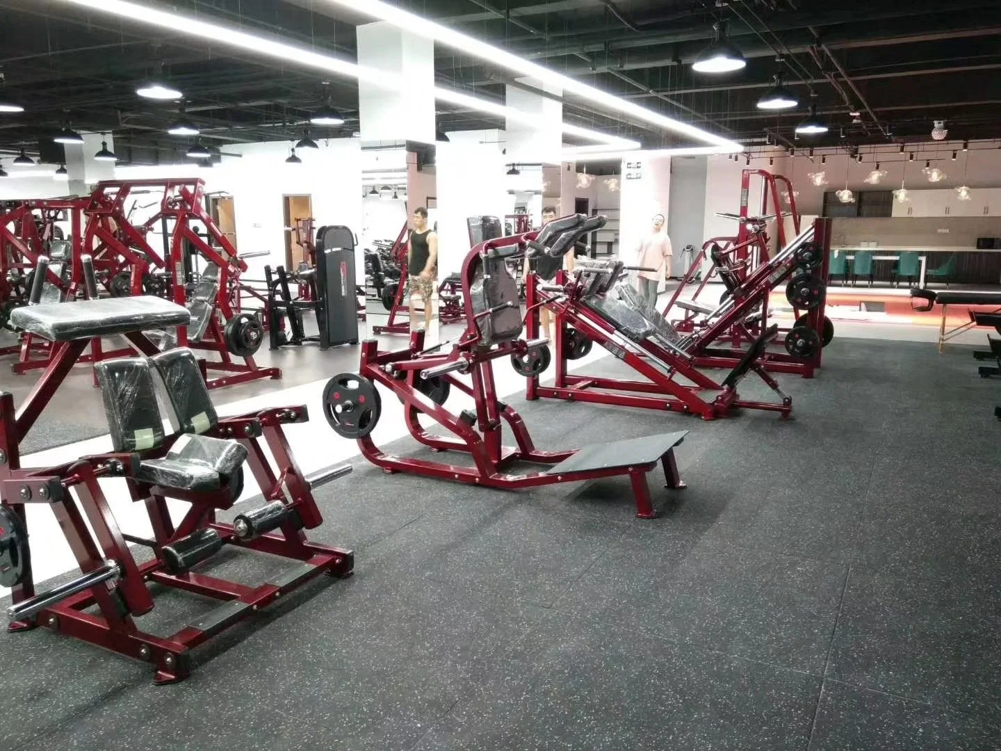 Realleader Club Gym Fitness Equipments/Factory Direct Hip Abductor Adductor /Fitness Machine Wholesale/Supplier