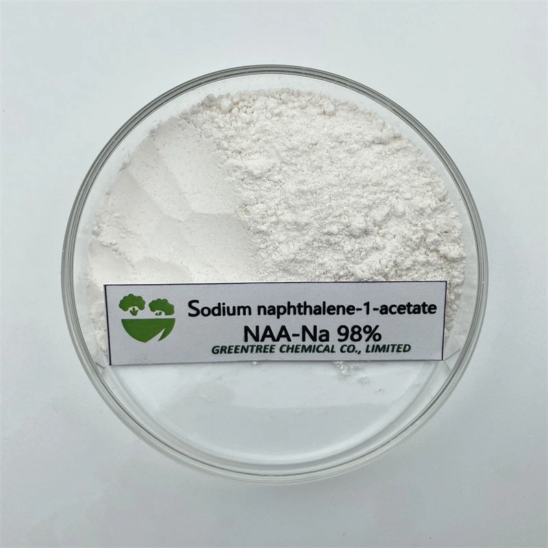 CAS No. 61-31-4 Auxin Alpha Na-Naa Sodium 1-Naphthaleneacetate 98%