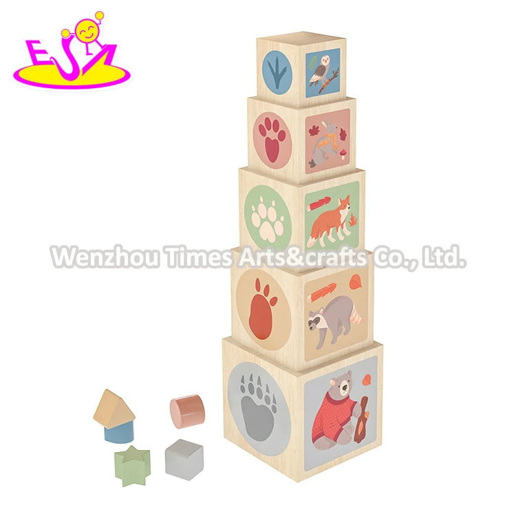 Kids Toddler Baby Gift Montessori Educational Wooden Toys Stacking and Nesting Cubes