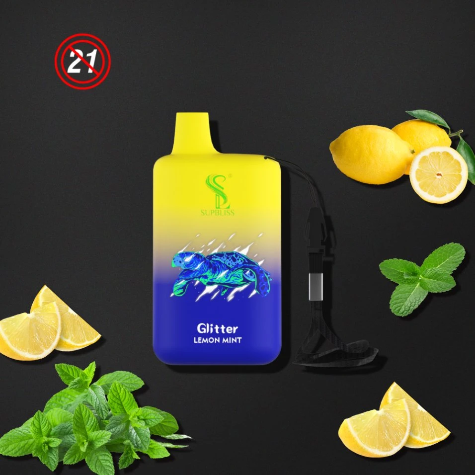 New 2022 Factory High quality/High cost performance  Wholesale/Supplier Vaporizer Supbliss 5800 Puffs 10 Flavors 5% Nic 10 Flavor Disposable/Chargeable Vape Pen