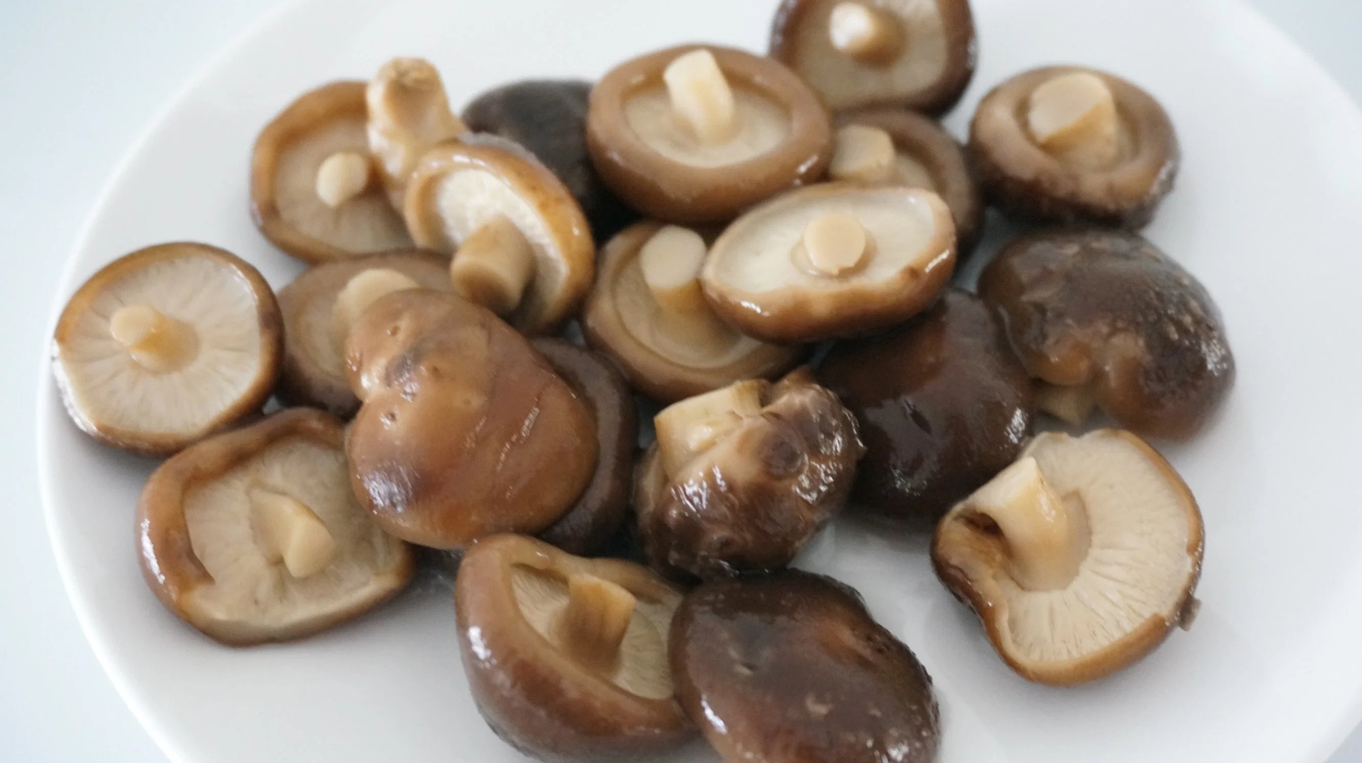 Chinese Traditional Healthcare Shiitake Mushroom with Own Brand