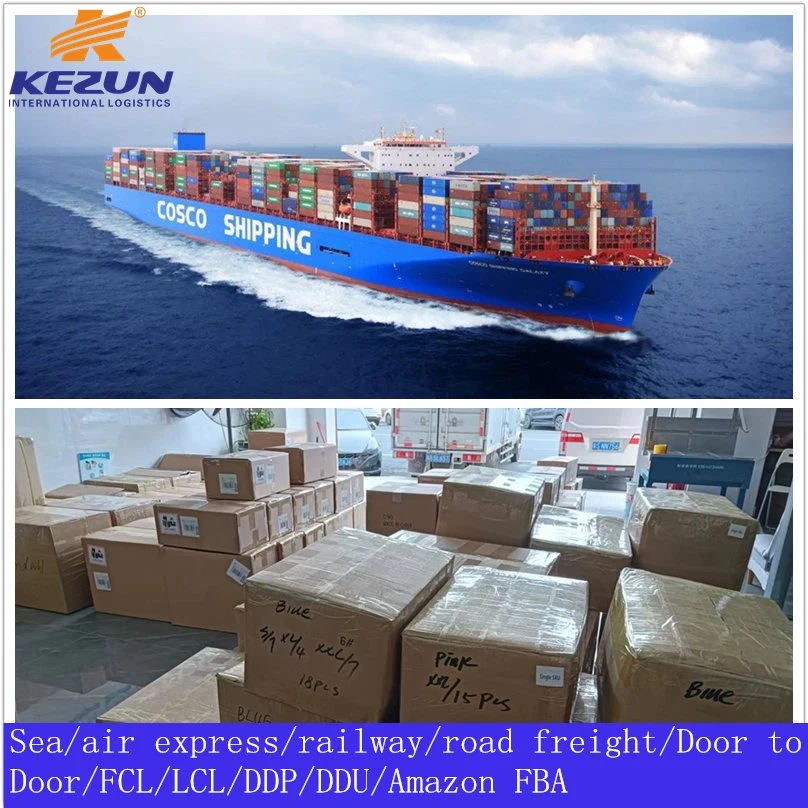 Sea Freight Ocean Freight Shipping Agent From China to Fiji