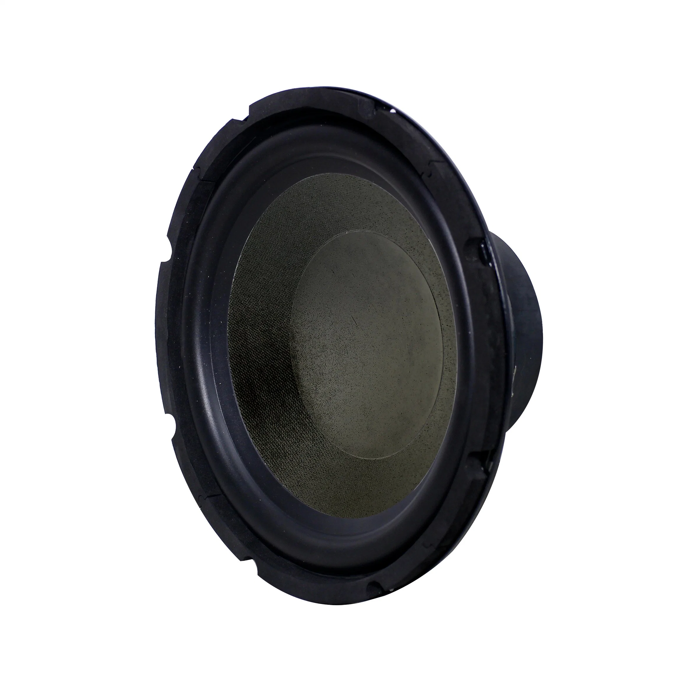 150W 10 Inch Subwoofer Speaker Driver for Home Audio System, Public Address Broadcasting System