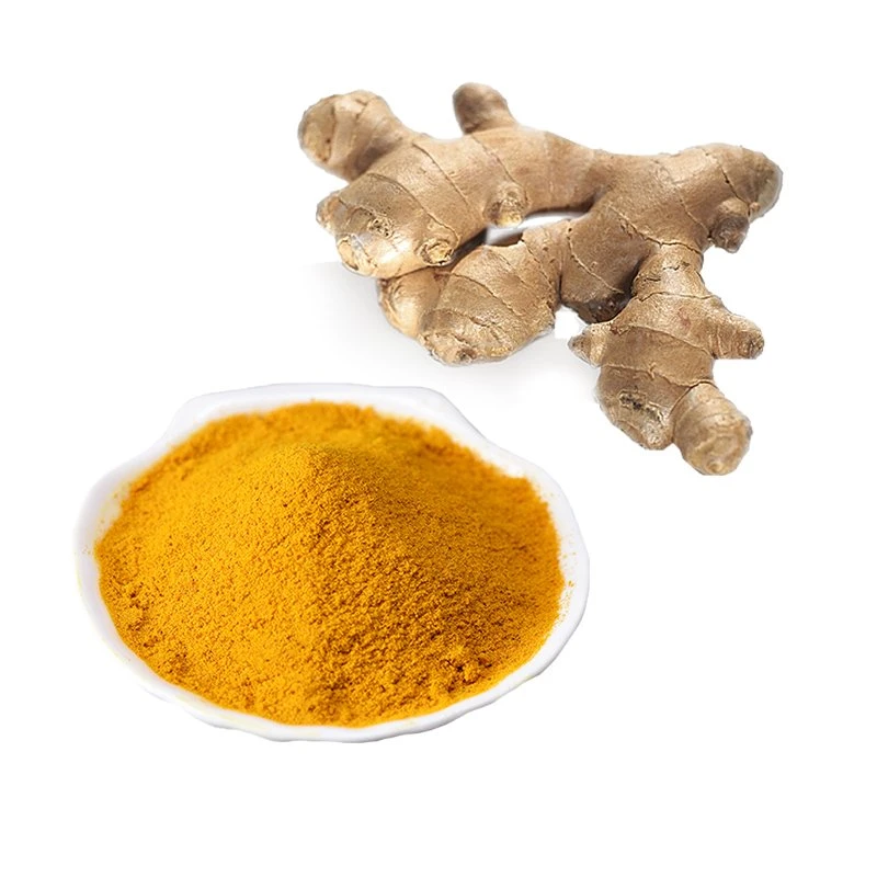 Curcumin Pulver