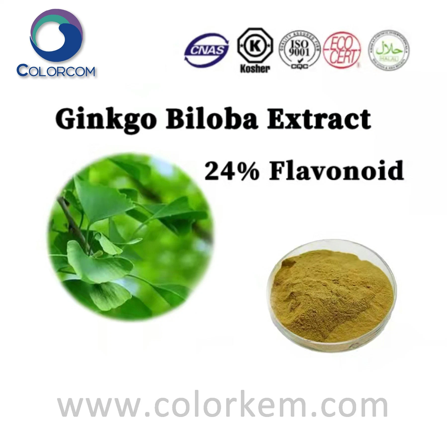 Ginkgo biloba استخراج 0.8-1.2 ٪ Ginkgo Flavone glycoides CAS 90045-36-6