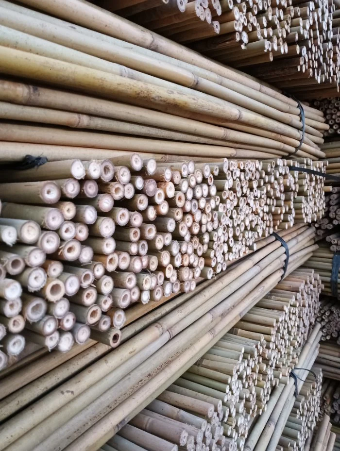 Natural Bamboo Stake Garden Stake Plant Support Natural Eco-Friendly Agribultural and Garden Bamboo Pole