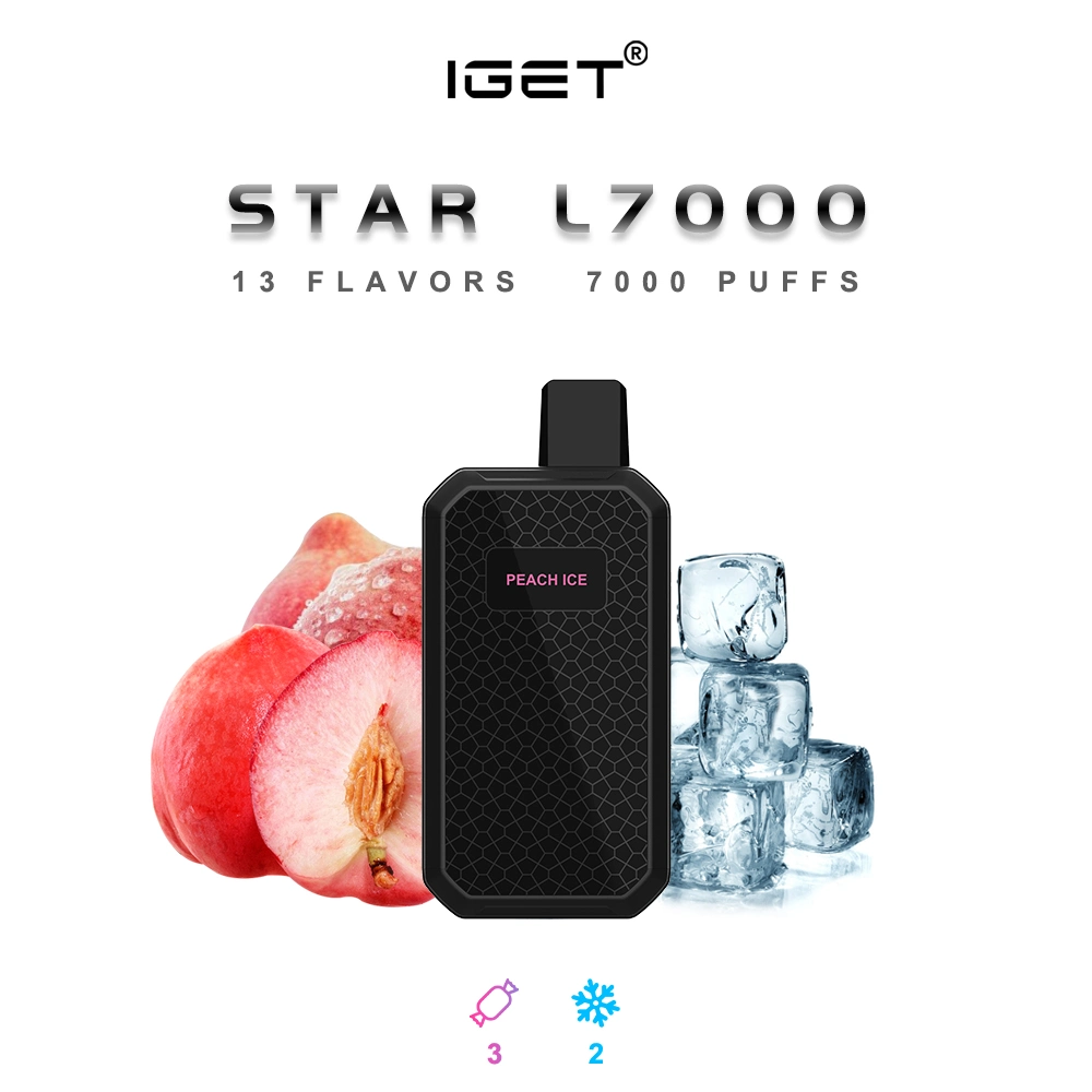 Iget Star 7000 inhalaciones mantener su Vape limpio y protegido con el diseño de la cubierta de polvo